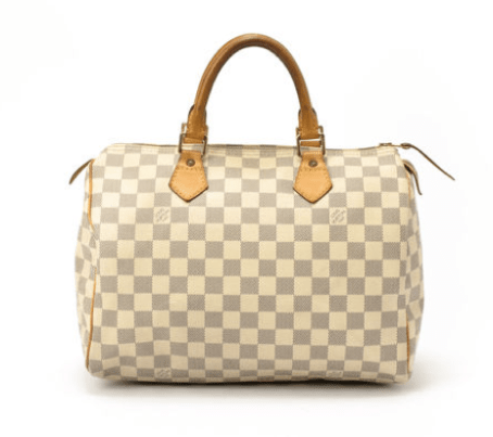 Louis Vuitton Speedy Damier Azur
